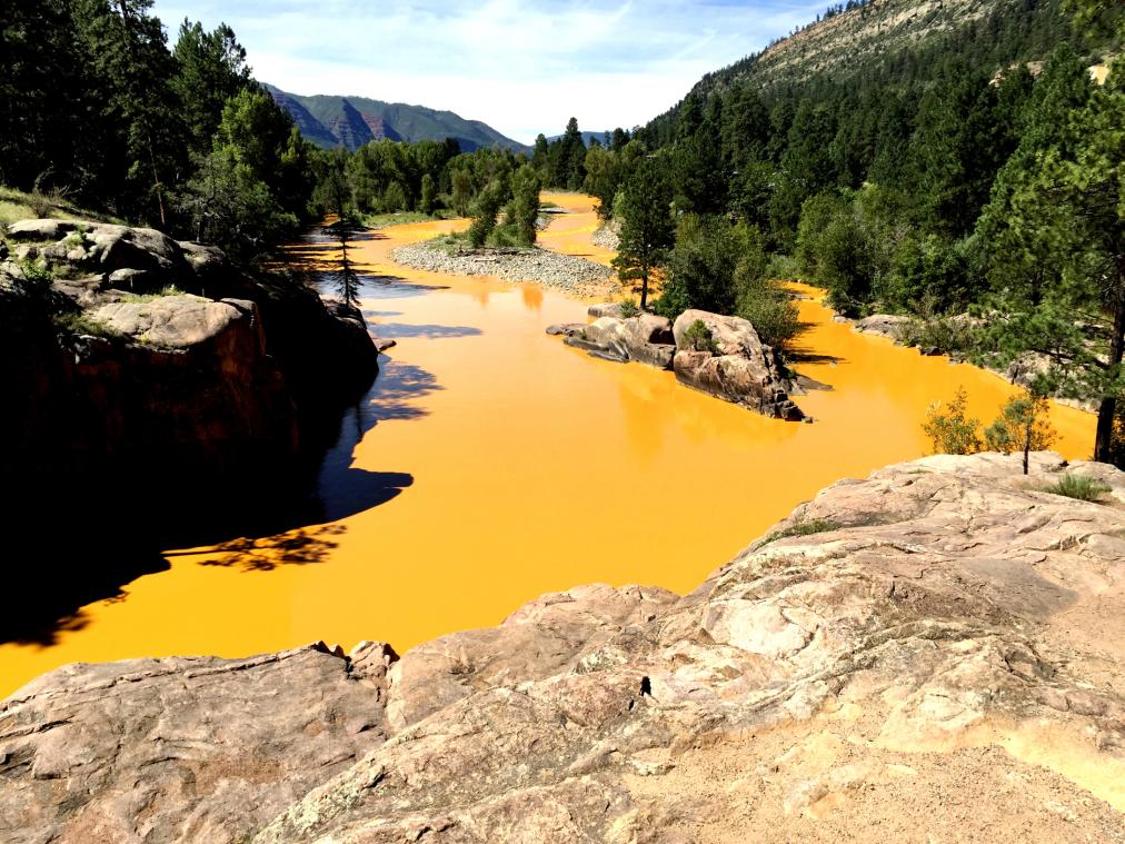 Animas River yellow with mine waste