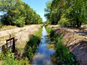 An acequia in Albuquerque's South Valley, NM. Liberation photo: Karina Rodgers
