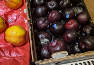 Moldy plums out for sale at Stop & Shop in Massachusetts. Produce runs thin and rots without workers to restock shelves and Teamsters refusing to make deliveries. Liberation Photo: Vanessa Phipps